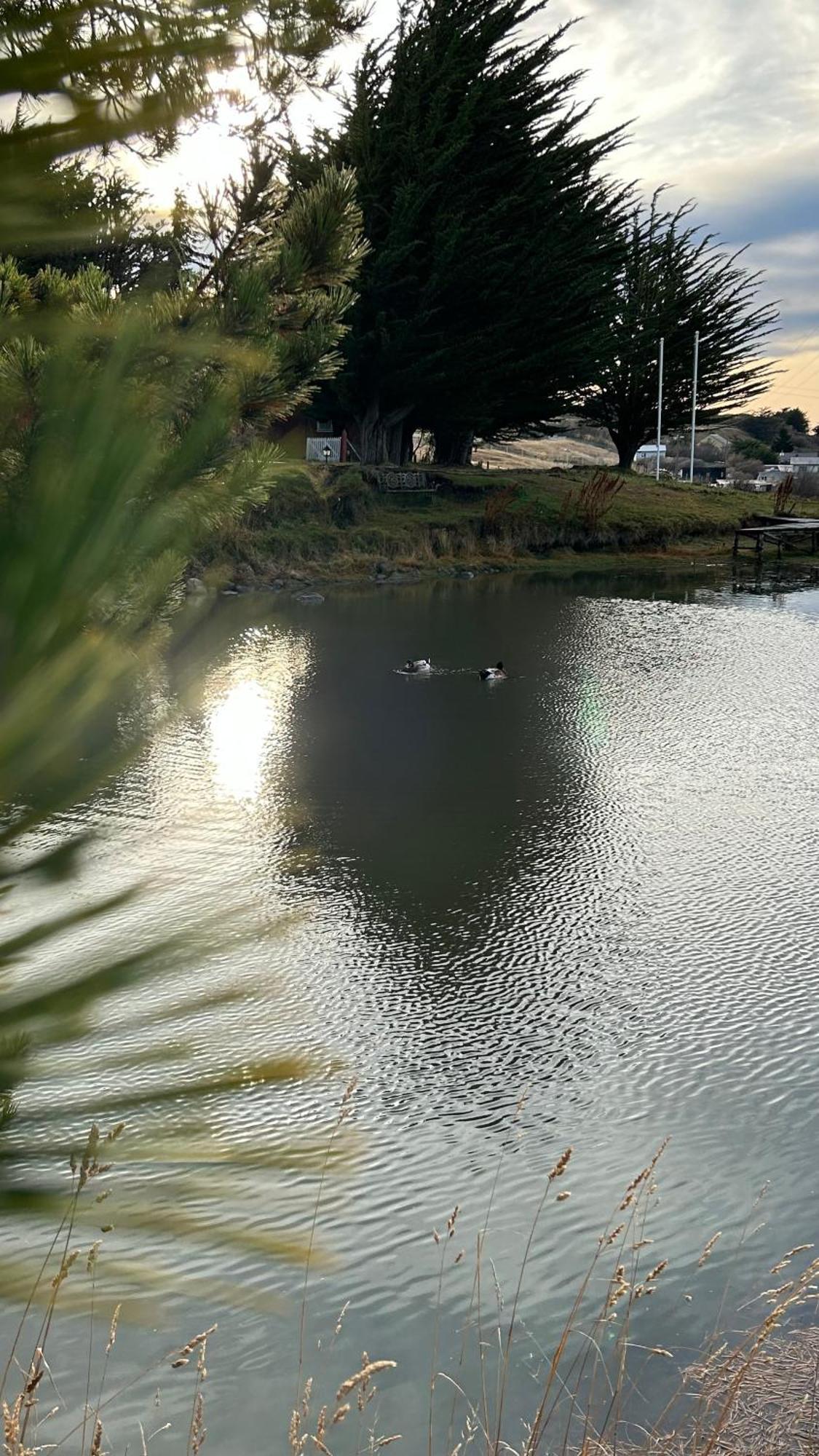 Hospedaje Isla Magdalena Punta Arenas Eksteriør bilde